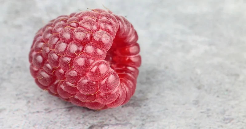Fruits rouges frais, surgelés ou en coulis : que choisir selon la saison
